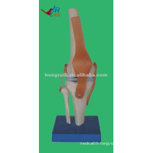 HR-111 natural Life-size Mini Skeleton artificial joint Model